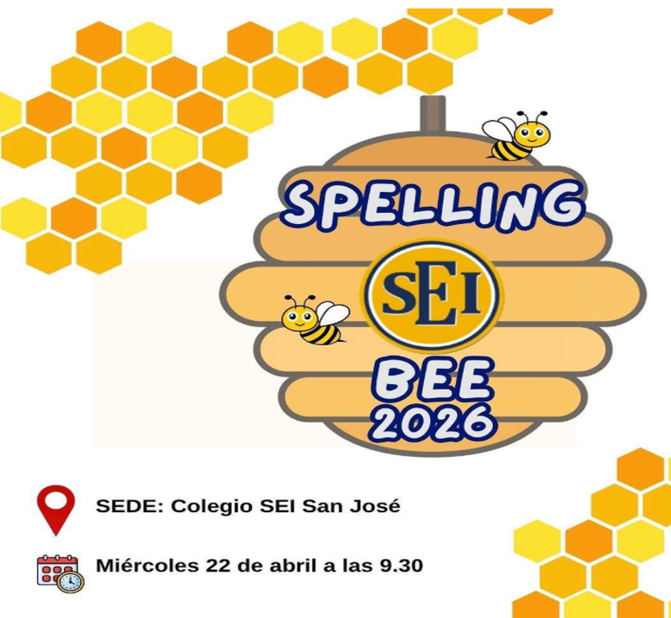 ¡Campeones en 3º, 4º y 5º Primaria!