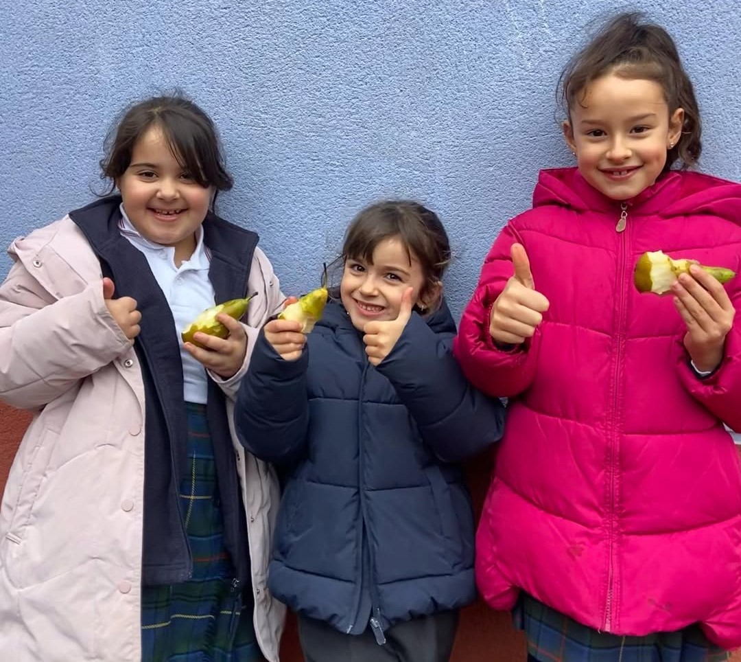 La nueva forma de comer sano ¡y rico!
